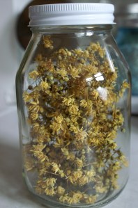 My dried linden flowers jarred and ready for tea.  