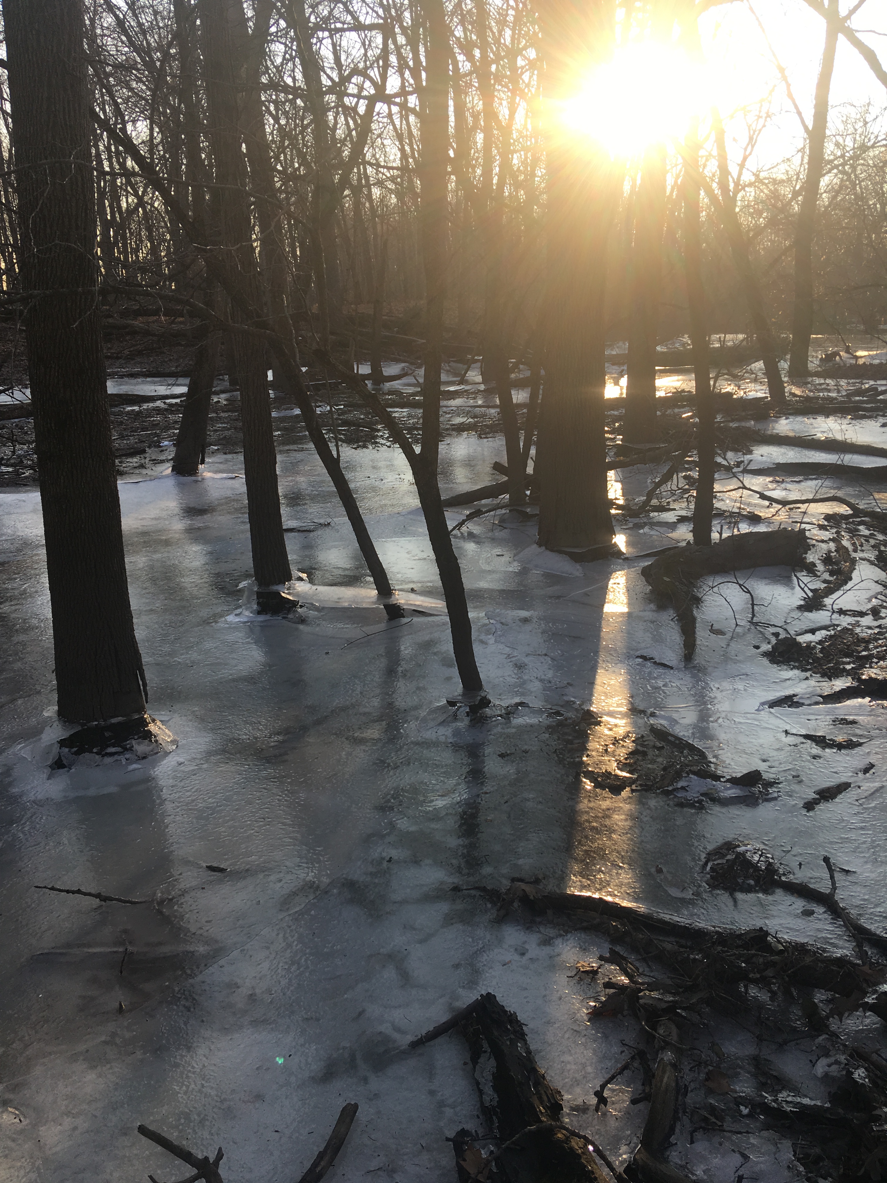 4432DA55-CFD4-4BD2-8E09-B517B1786395