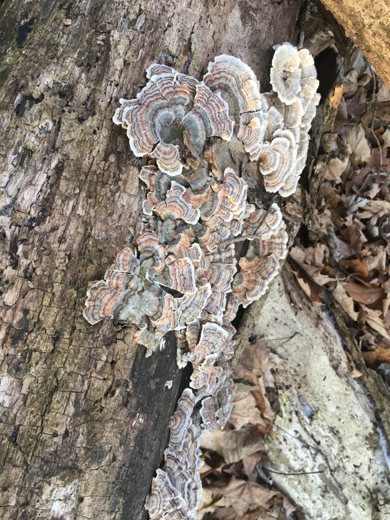 F0A6F816-B9FE-439A-8495-A3C51072FD47